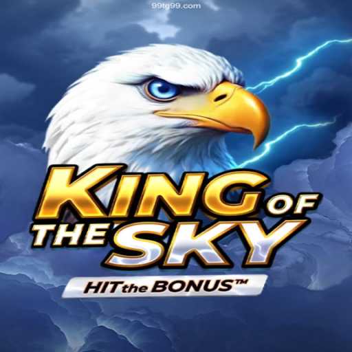 KingOfTheSky: A Thrilling Flight into the Virtual Skies